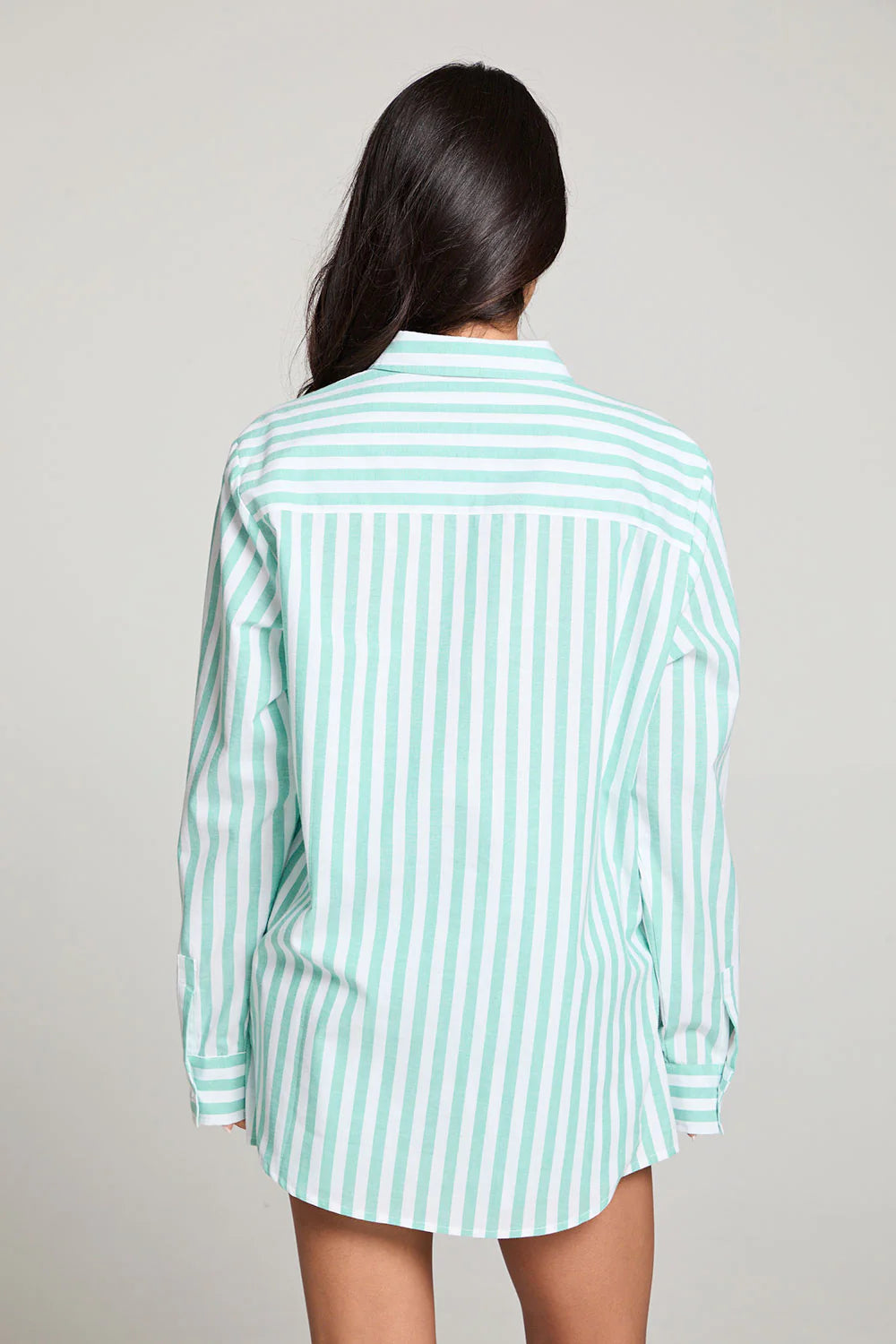 Paso Aloe Stripe Button Up