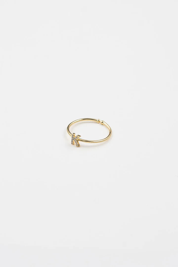 Shiny Initial Ring