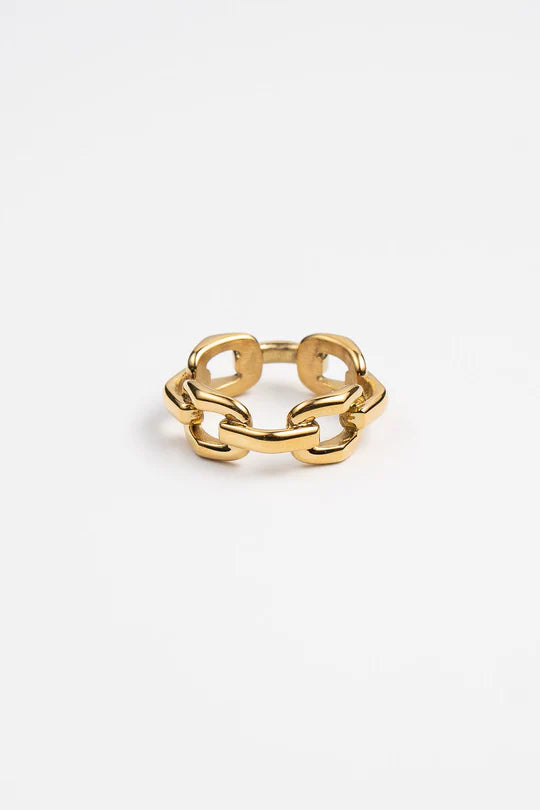 Big Chain Ring