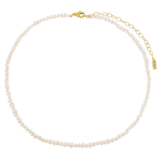 Tiny Pearl Choker